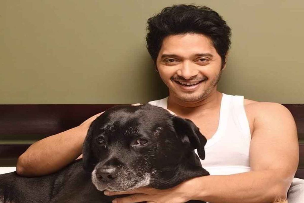 Shreyas gets permission to start shooting, the film 'Naya Daur' will be shot before Welcome to the Jungle