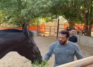 Two people arrested for encroachment of Salman Khan's farmhouse